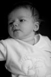 IMG_7233.jpg