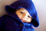 IMG_7806.jpg