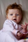 IMG_7886.jpg